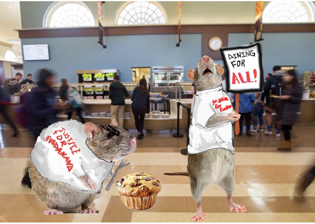 Rats Outraged at Lack of Rodent-Sized Amenities at The Ratty